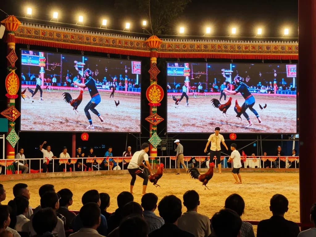 Phát sóng trực tiếp đá gà sự kiện trình diễn những trận đá gà gay cấn với không khí đông đảo người xem.